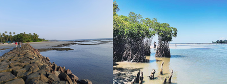 Mini Goa Beach (Near Kolavipalam/Payyoli) ~ 12.00 km (estimate)